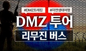 DMZ 투어 버스 여행 당일 치기 임진각 제3땅굴 외국인 관광 (리무진)